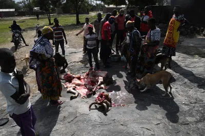 DSC_3069 (Large).JPG